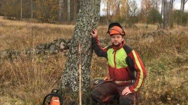 How to Cut Down a Tree Safely and Precisely 